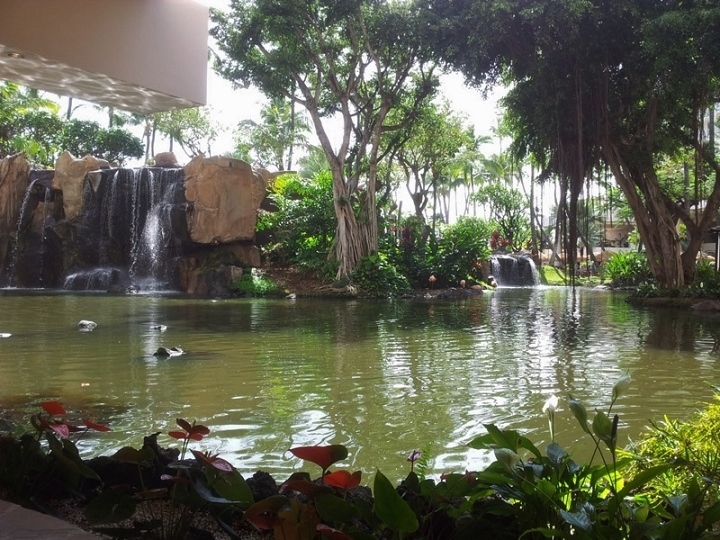 Westin Maui - Lobby Pool